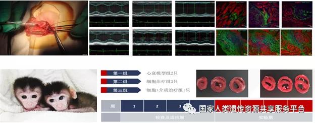 2024新澳门原料网大全新澳门宝典